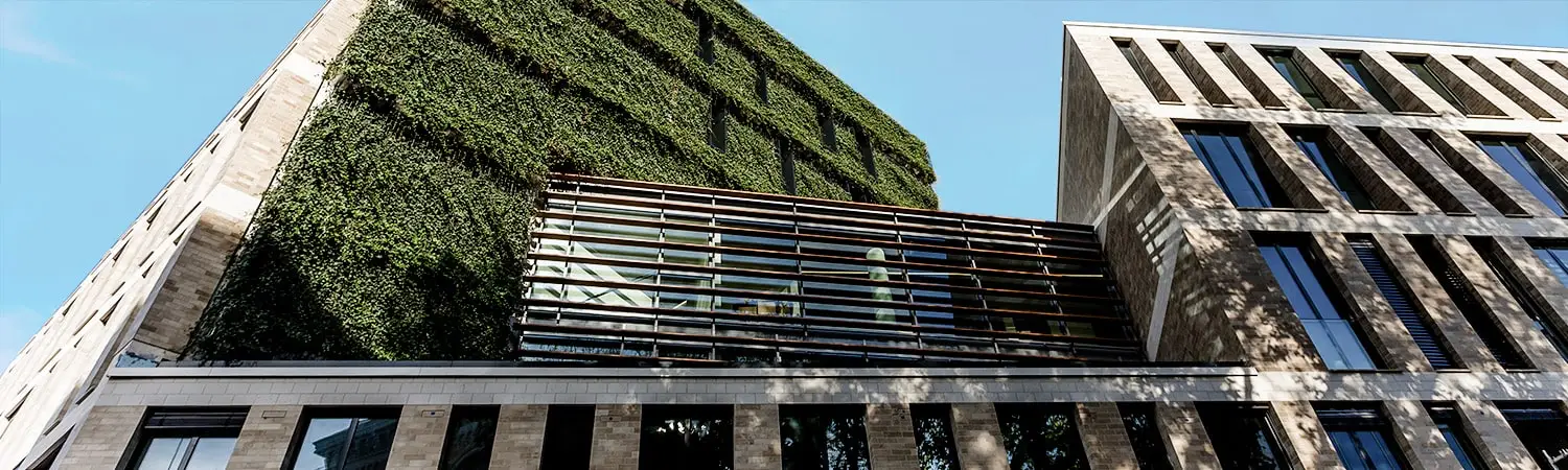 hoff_projekt_hasehaus_banner_1500x450